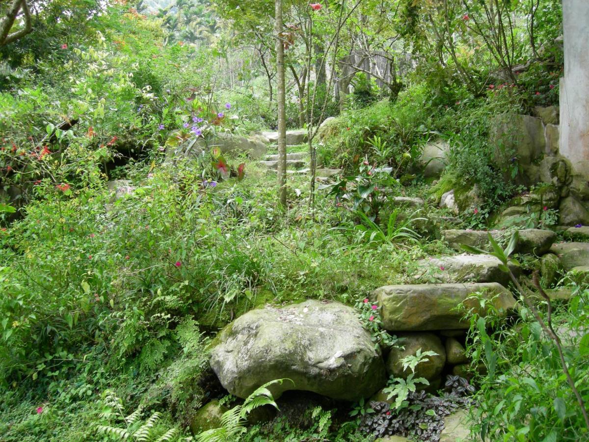 Siyuan Ju Homestay Puli Exterior foto